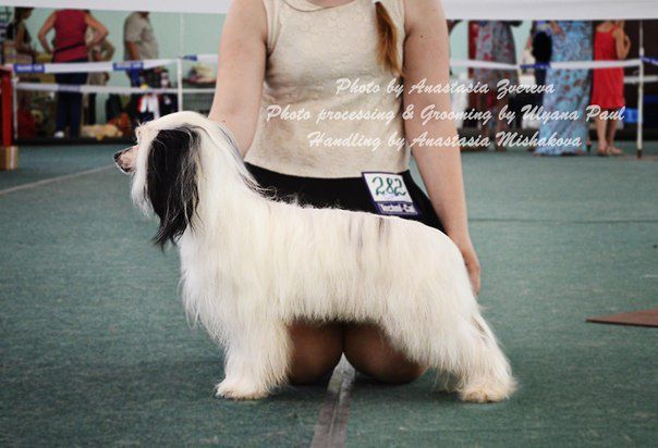 Garrik Veseliy Paren'