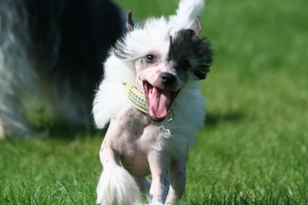 Dresscode-Zero Nights in White Satin