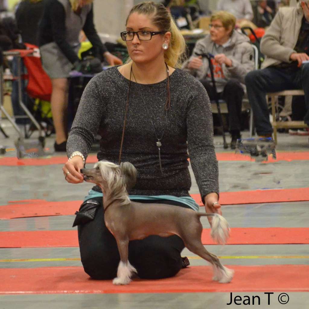 Proud Pony Going Into Oblivion