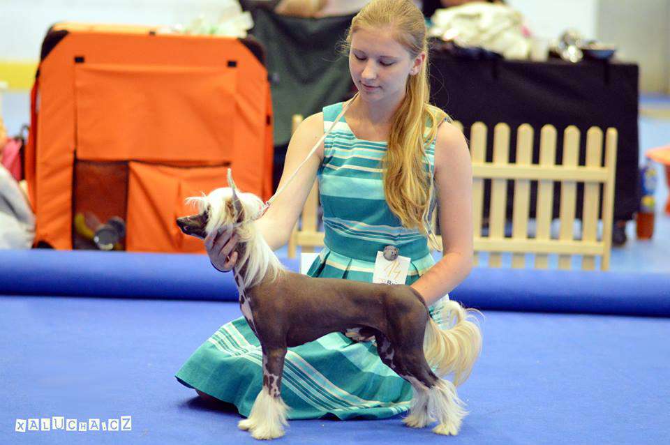 Baddy Bane Freuhartang