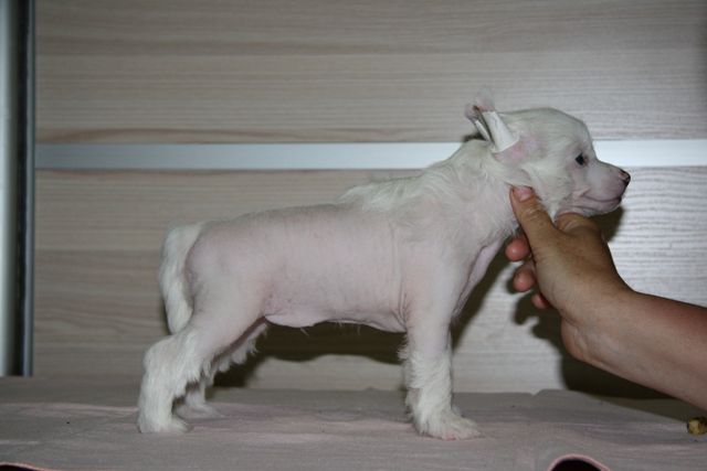 Selfing iz Strany Kutha