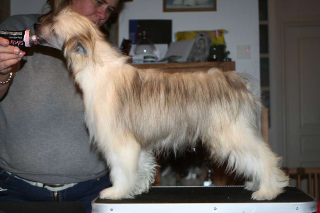 Smedbys Tullamore D.E.W