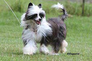 Bianca Glow Pretty Sweet