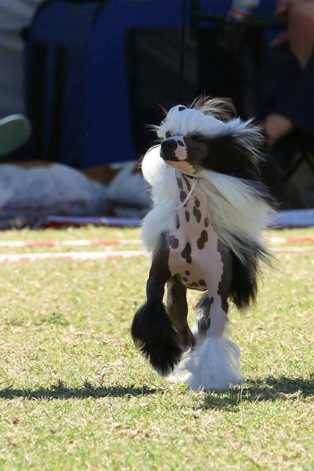 Be My Lady Pretty Sweet