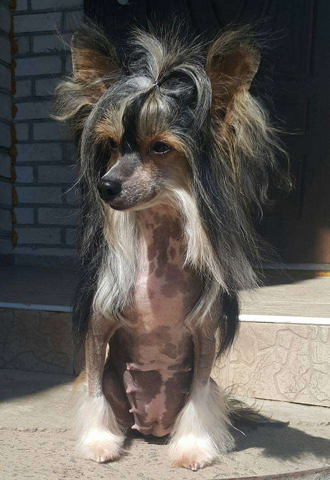 Yuki Pazl Kumiko Key