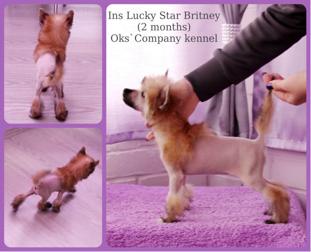 Ins Lucky Star Britny