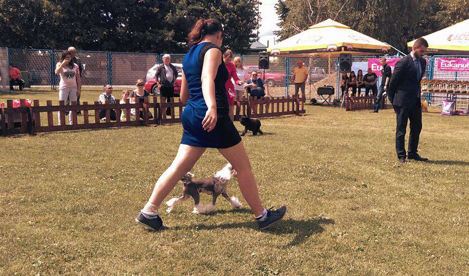 Ring rider Absolute Star Penny