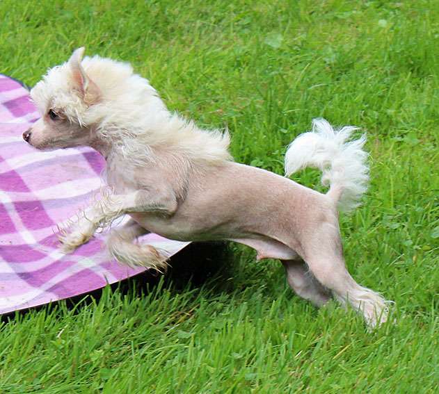 Silkencrest Catch Up