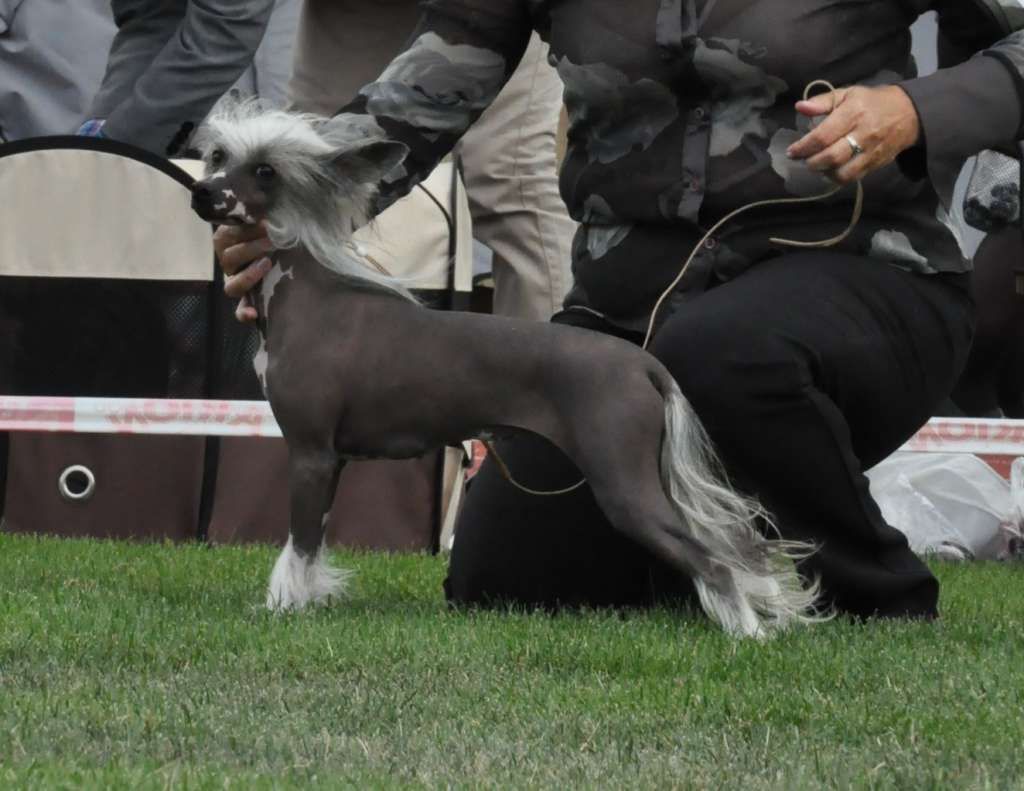 Spotifly Busy Doin' Nothin' FCI