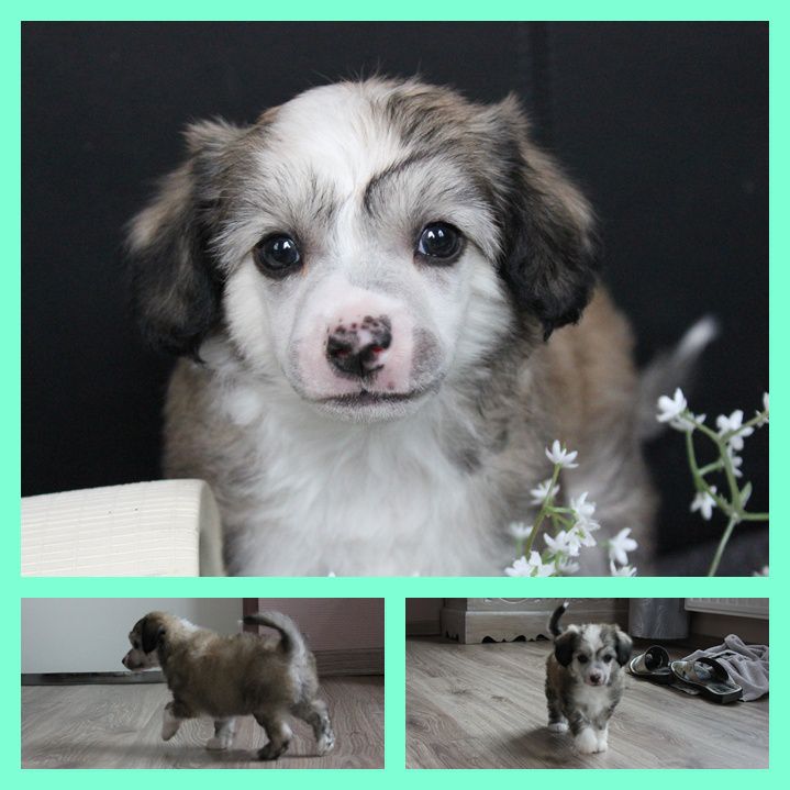 Call me the womenizer