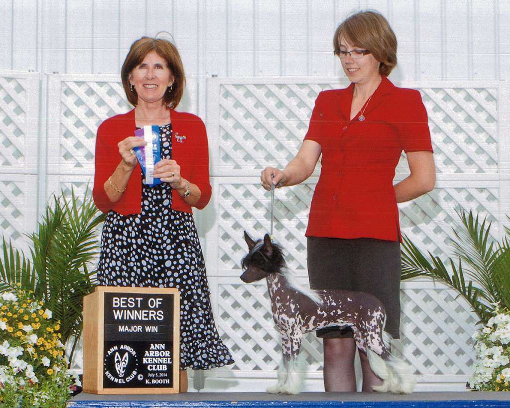 PNG Curlious Bundle Up