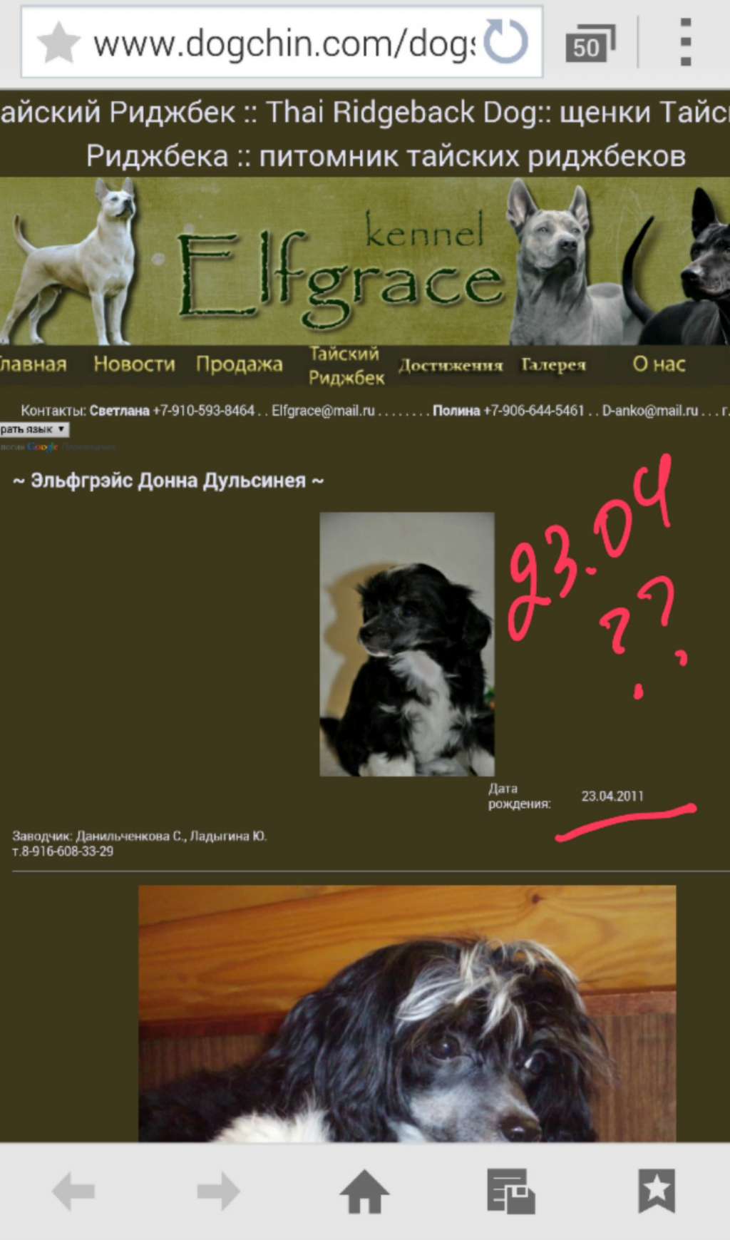 Elfgrace Donna Dulsineya