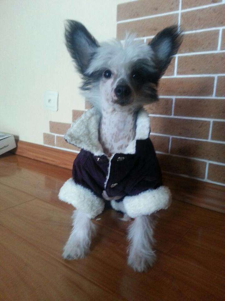 Elance Louange Lee of Lucky Stars