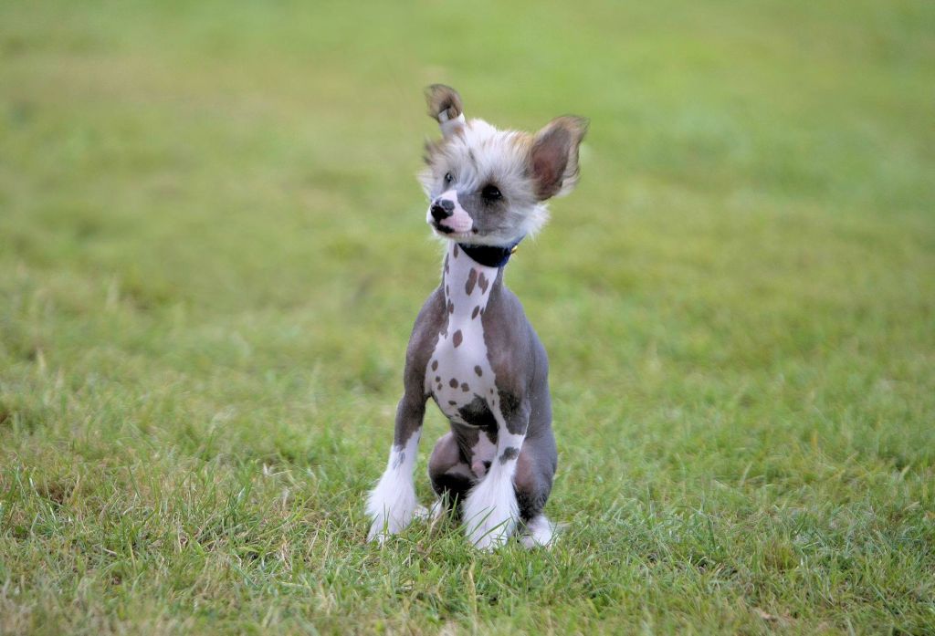 Myglee's Enough Said