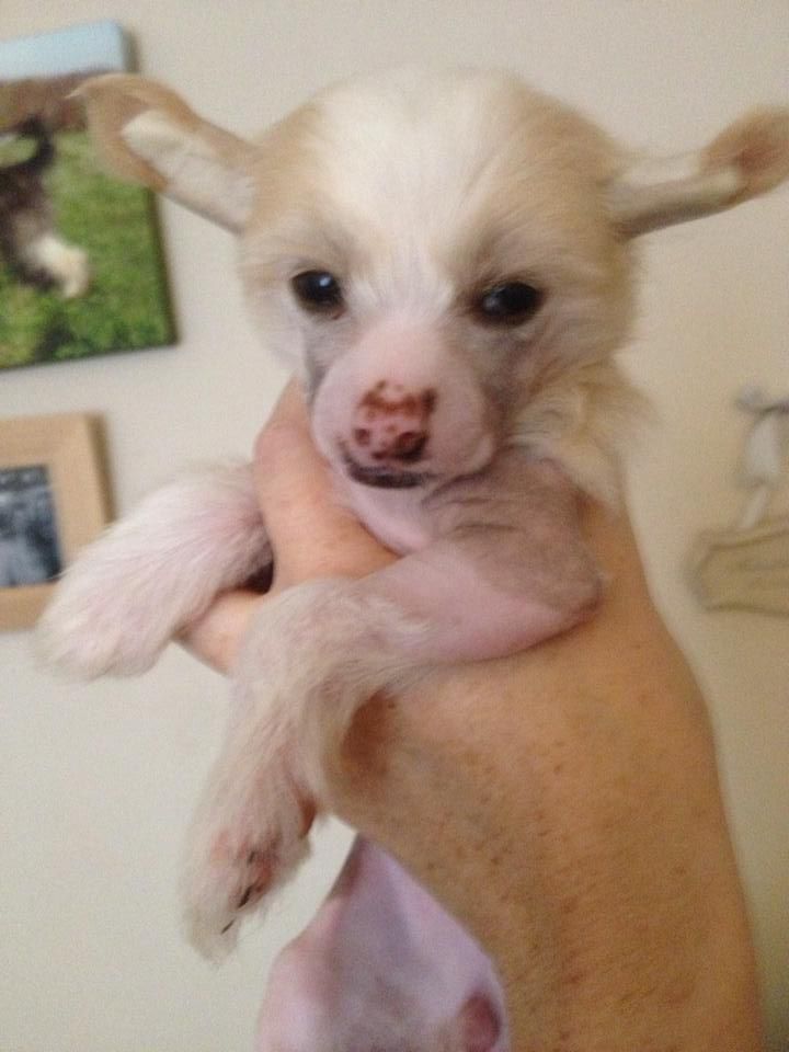 Myglee's The Proposal