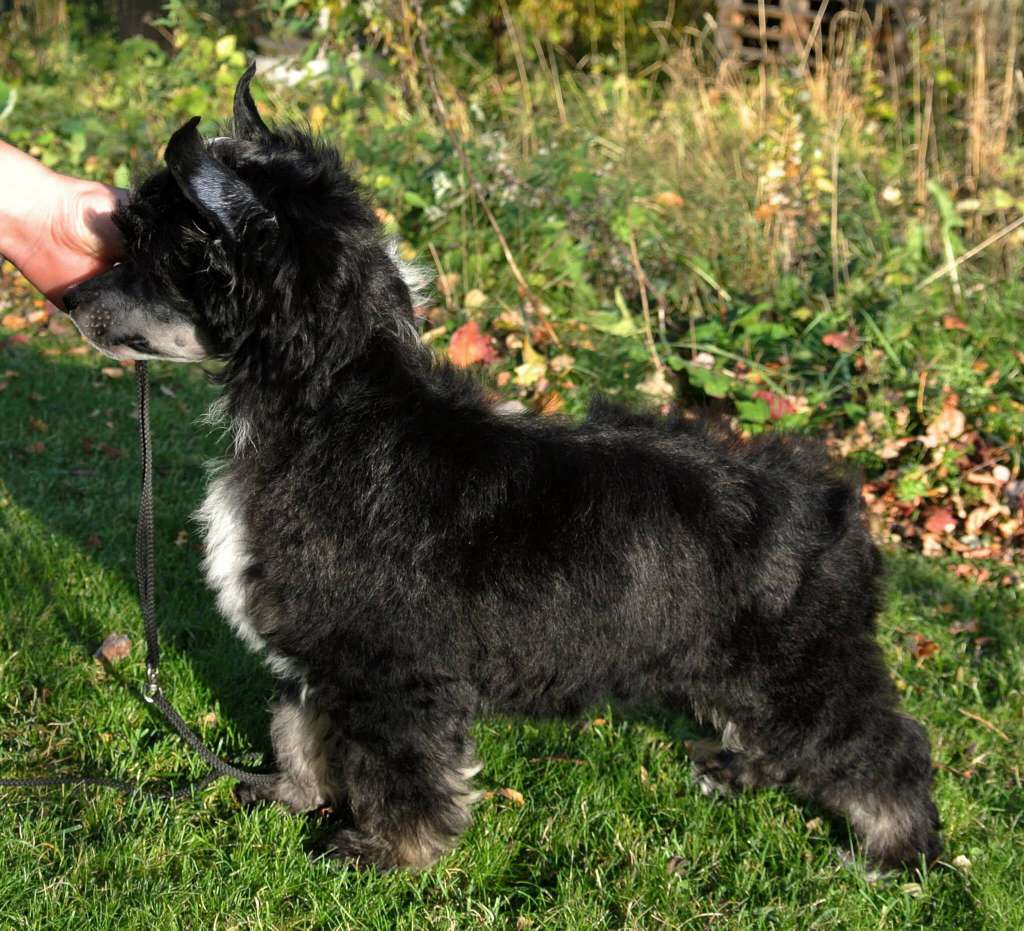 Blendverk's Empire State Of Mind