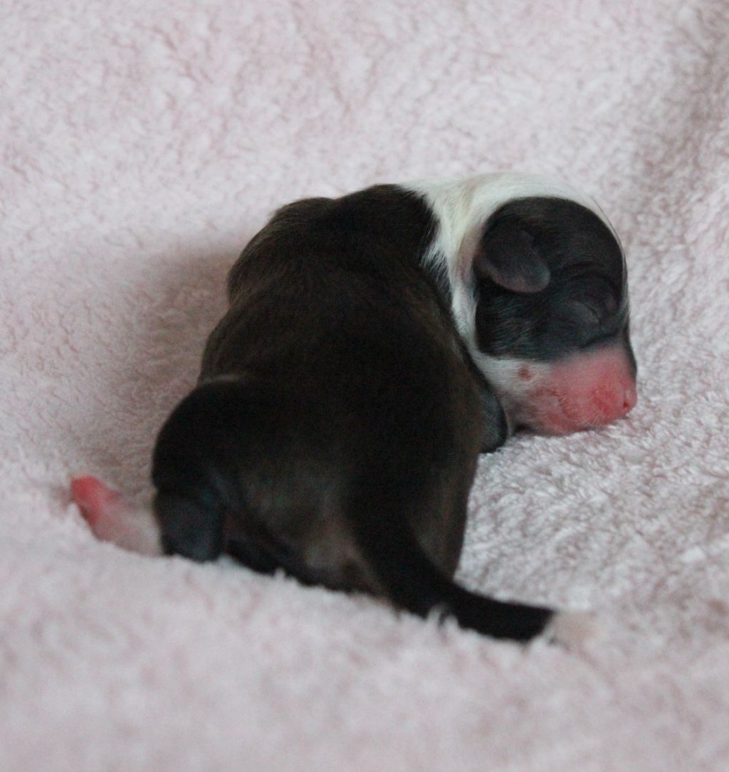 Blendverk's Eye In The Sky