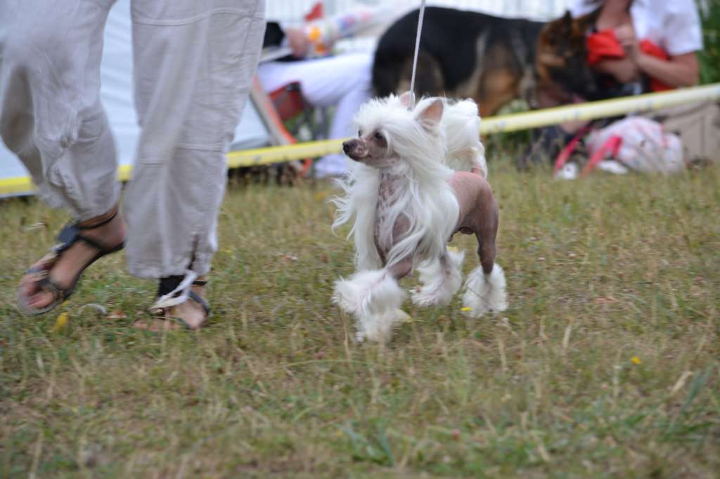 Ellavia Eclair Ma Douceur