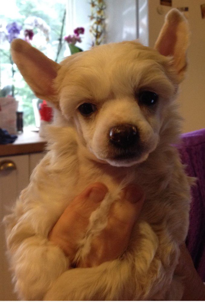 Yrar Up On These Stones