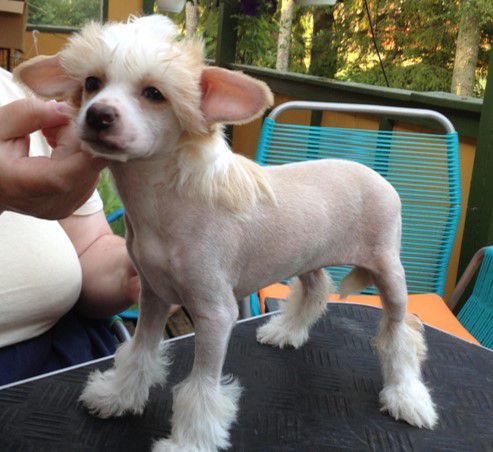 Yrar Unexpected Song