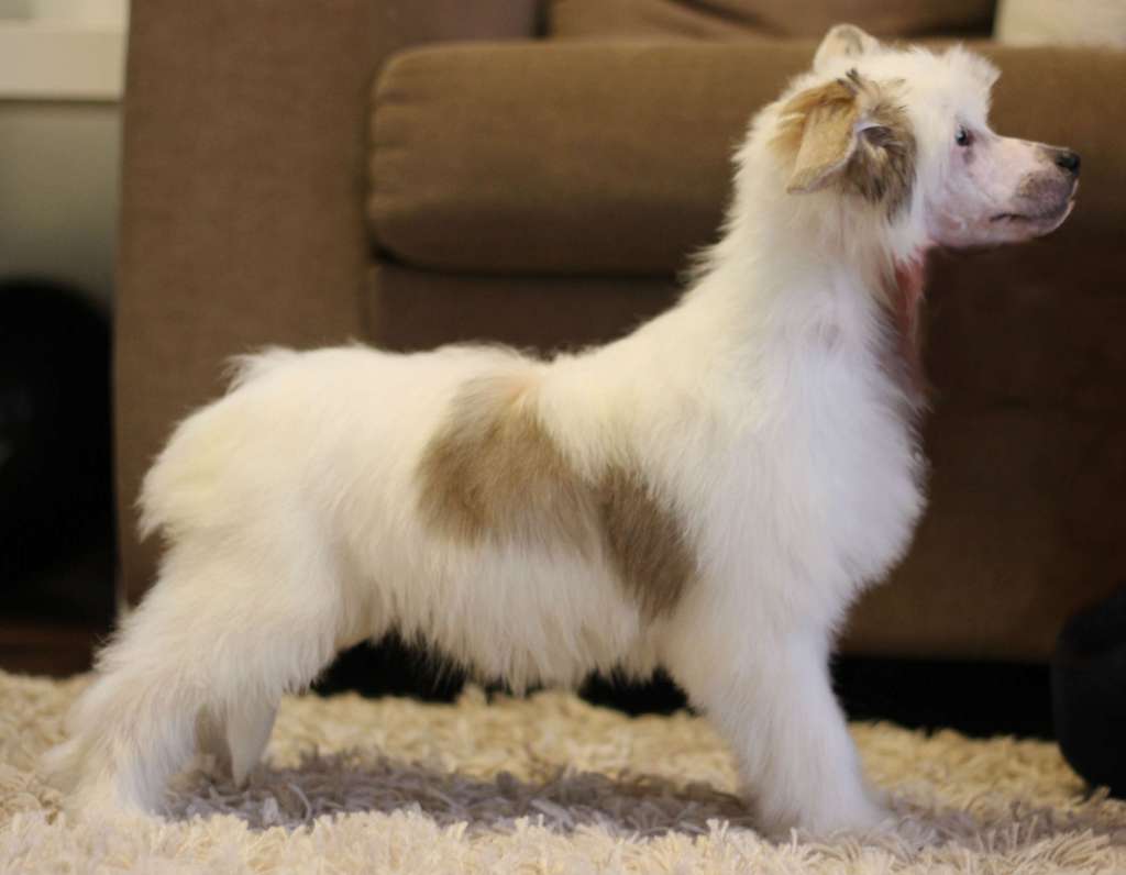 Mooncrystal's Enter Sandman