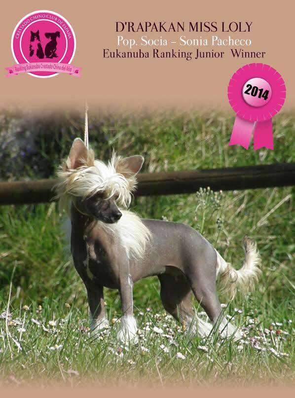 D'Rapakan Miss Loly