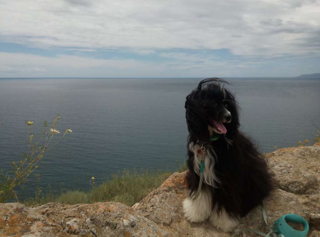 Star Level Kleopatra