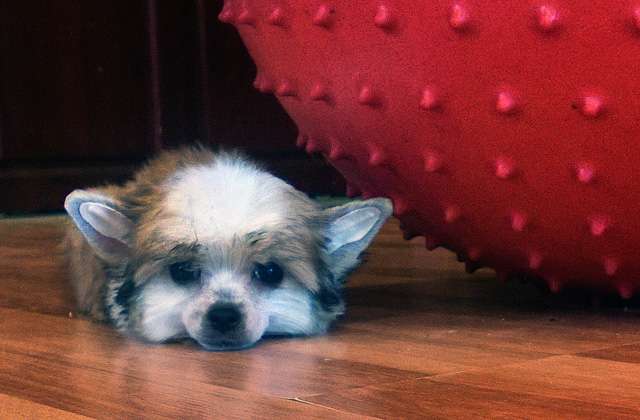 Ksolo Club Nicolet Win