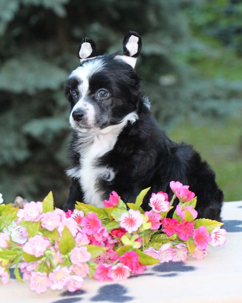 Samara Beauty Alabama