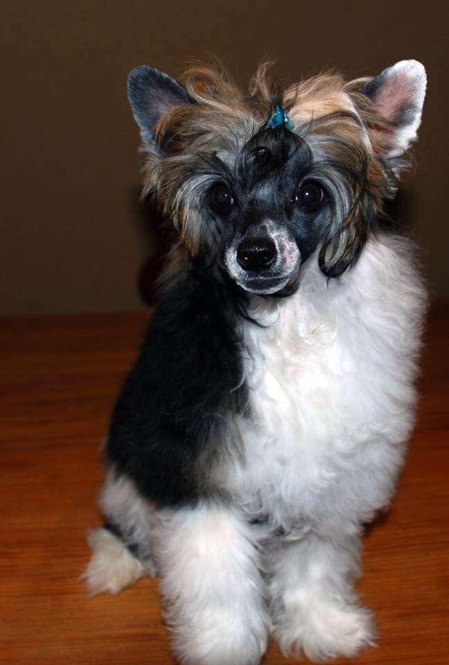 SandStorm Summer Solstice