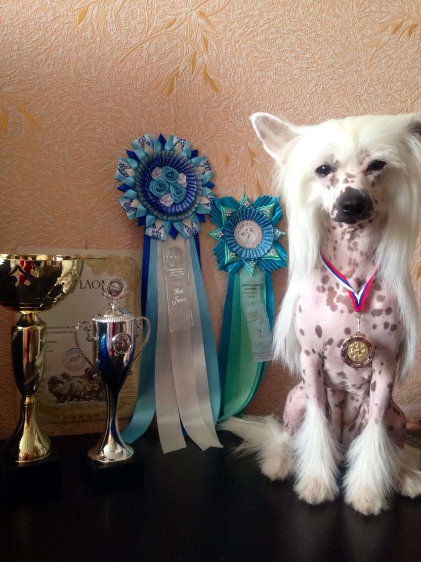 Terra iz Strany Kutha