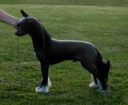 Glanore Lightening Strike