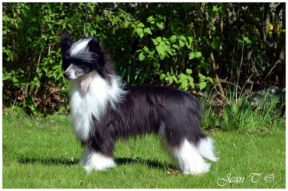 Speechless One In A Million