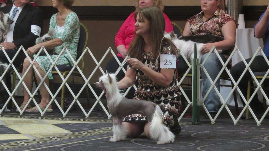 OhSo Awesome Radiants Cowboy