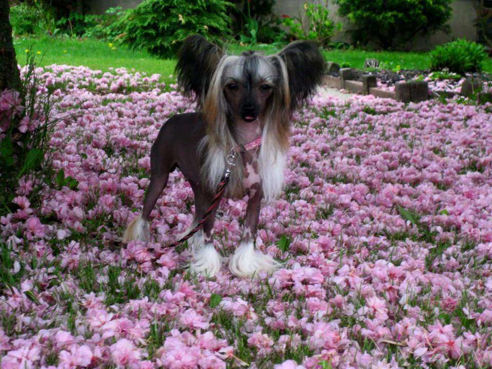 Klearly Bare Buns in the Sun