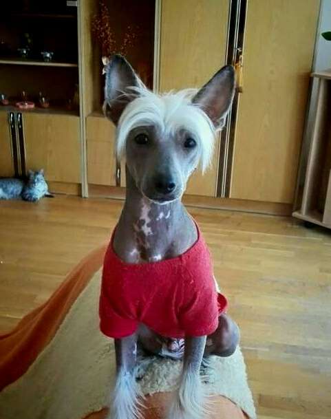 So-soft Christian Dior