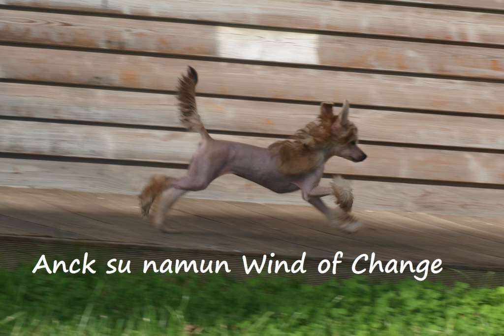Anck su Namun Wind of Change