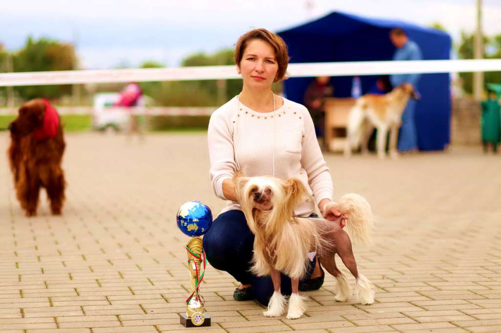 Fantasy Vita Bronze Dragon