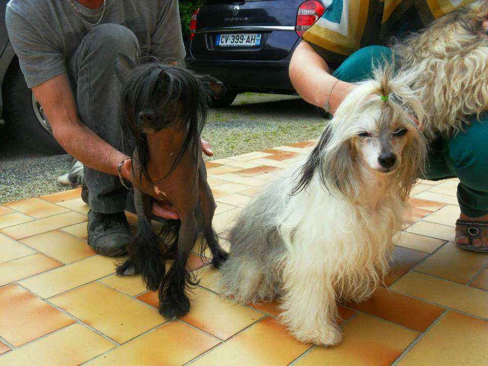 Hortense du Clos Napolitain