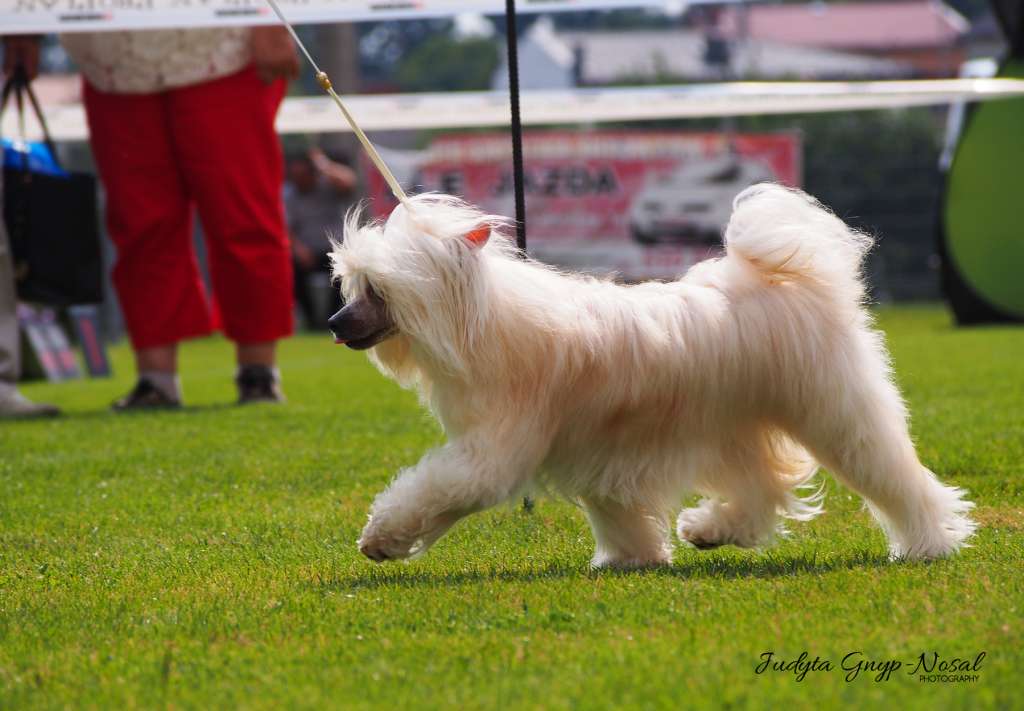 Anastassija Arnora from the Land of Pangaea