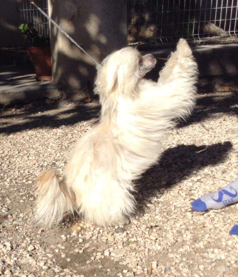 Magic of Success Baby Doll