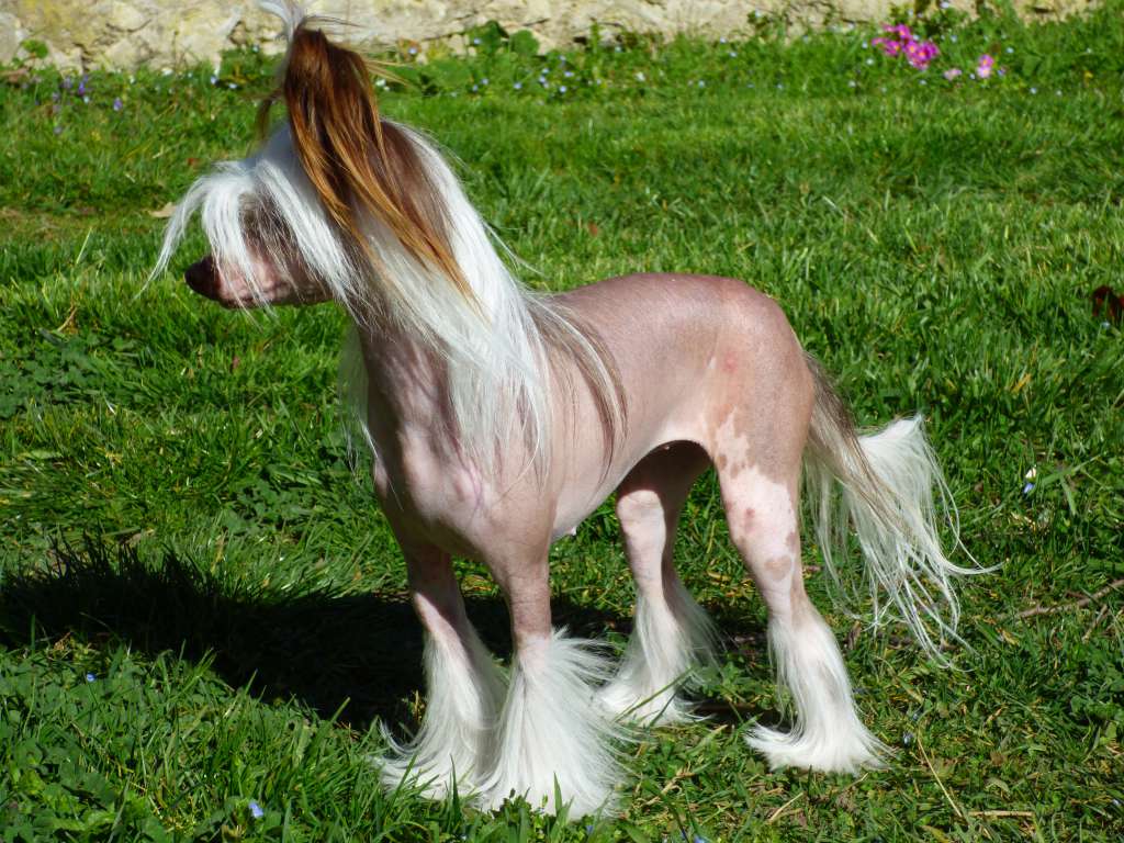 Vellar Pljus Milagros