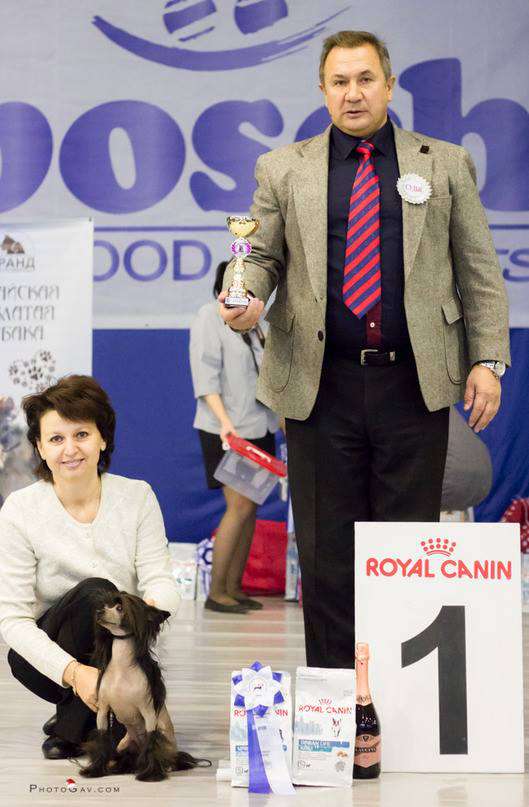 Bi-lav Plus Alisa V Strane Chudes