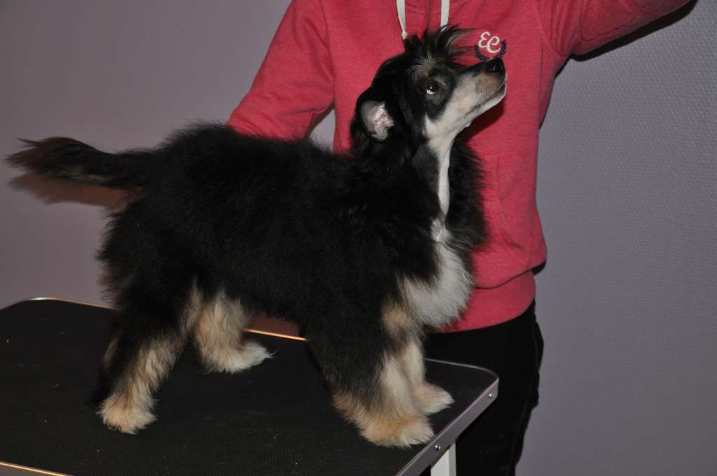 Sookie's Bardolino Chiaretto Space