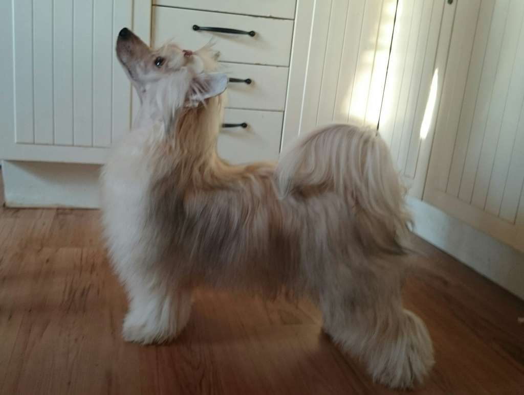 Uzume'z For God Sake