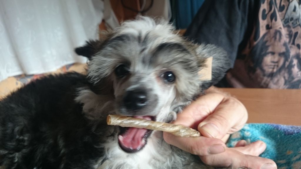 Uzume'z Fortune N Fame