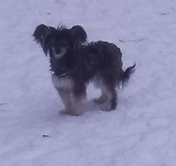 Oromuson If I Were A Sapphire