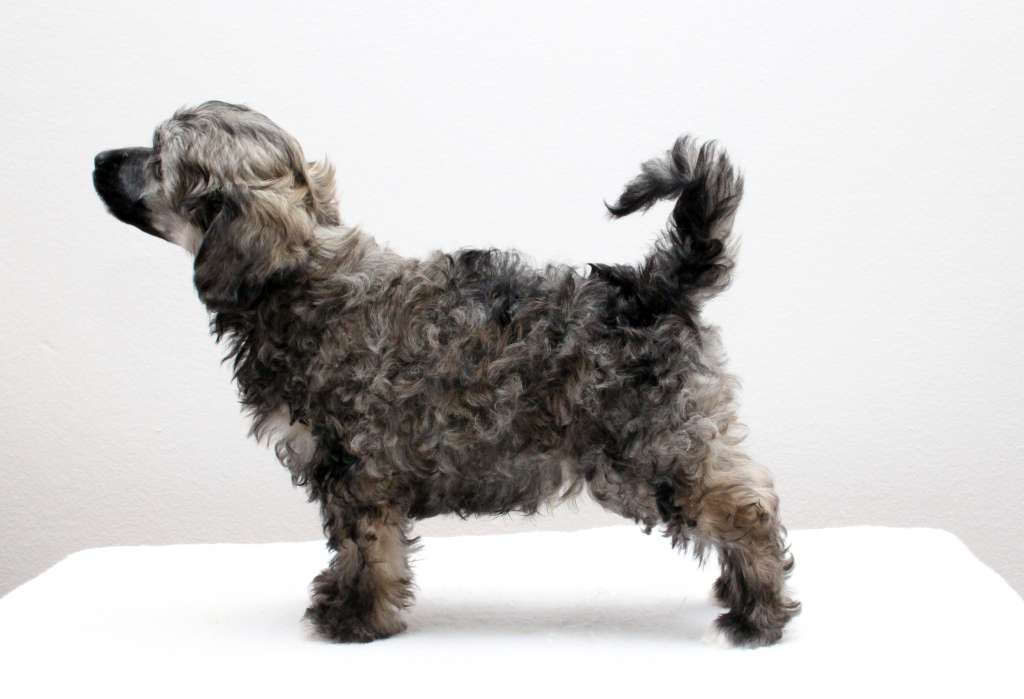 Dare to be Extraordinary