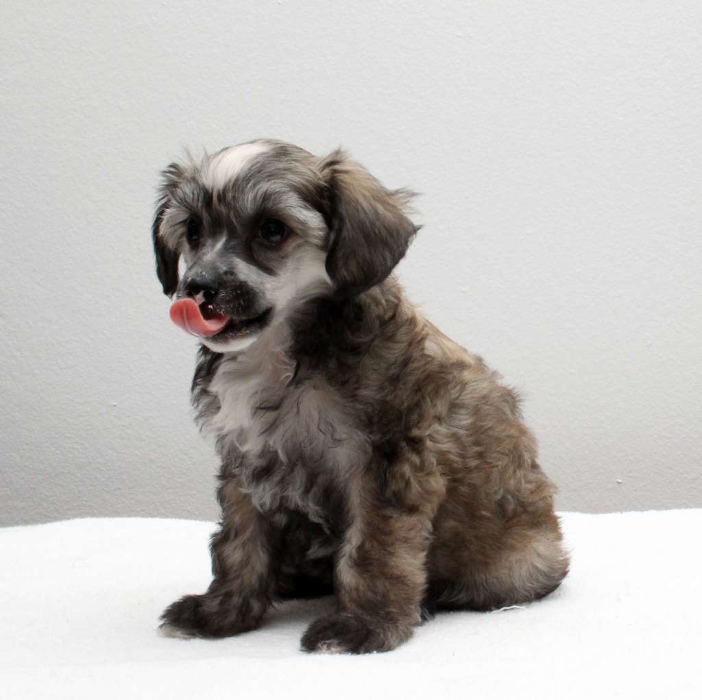 Dare to be Extremely Hot