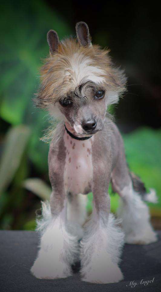 SnT's Taste The Explosion